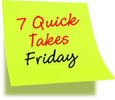 7 Quick Takes Friday