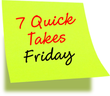 7 Quick Takes Friday (set #149) – Convert Journal